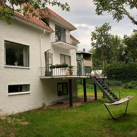 Bright Family On Dune In Wassenaar