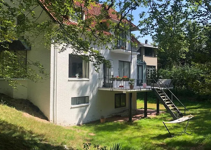 Bright Family On Dune In Villa Wassenaar